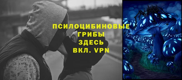 кокс Арсеньев