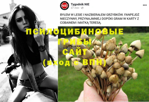 метадон Аркадак