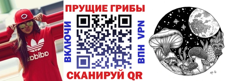 Псилоцибиновые грибы Magic Shrooms  Волгодонск 