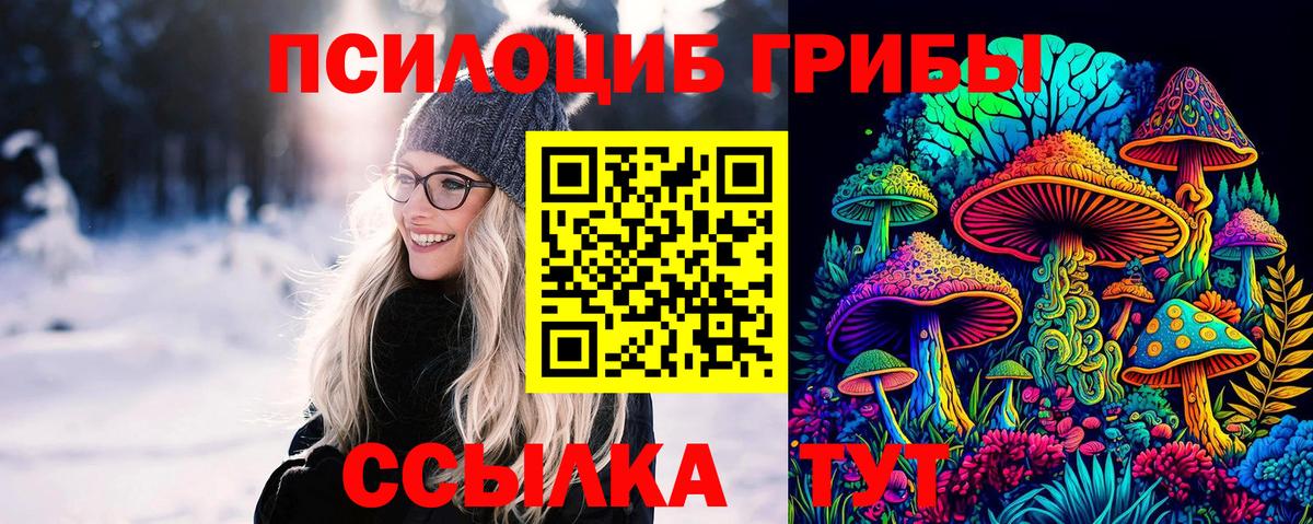 Псилоцибиновые грибы Cubensis Волгодонск