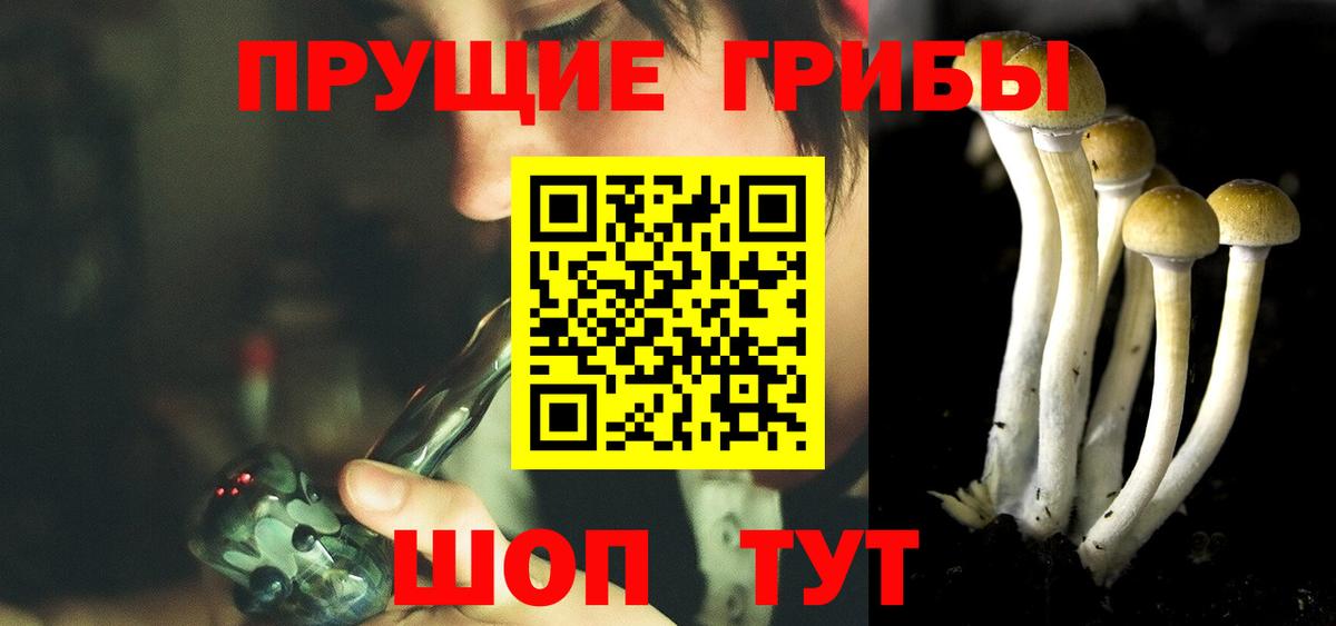 Псилоцибиновые грибы прущие грибы  Вход с VPN  Волгодонск 